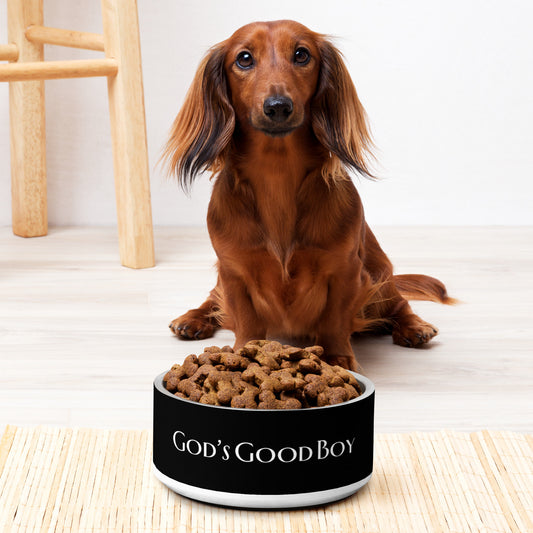 God's Good Boy Pet bowl