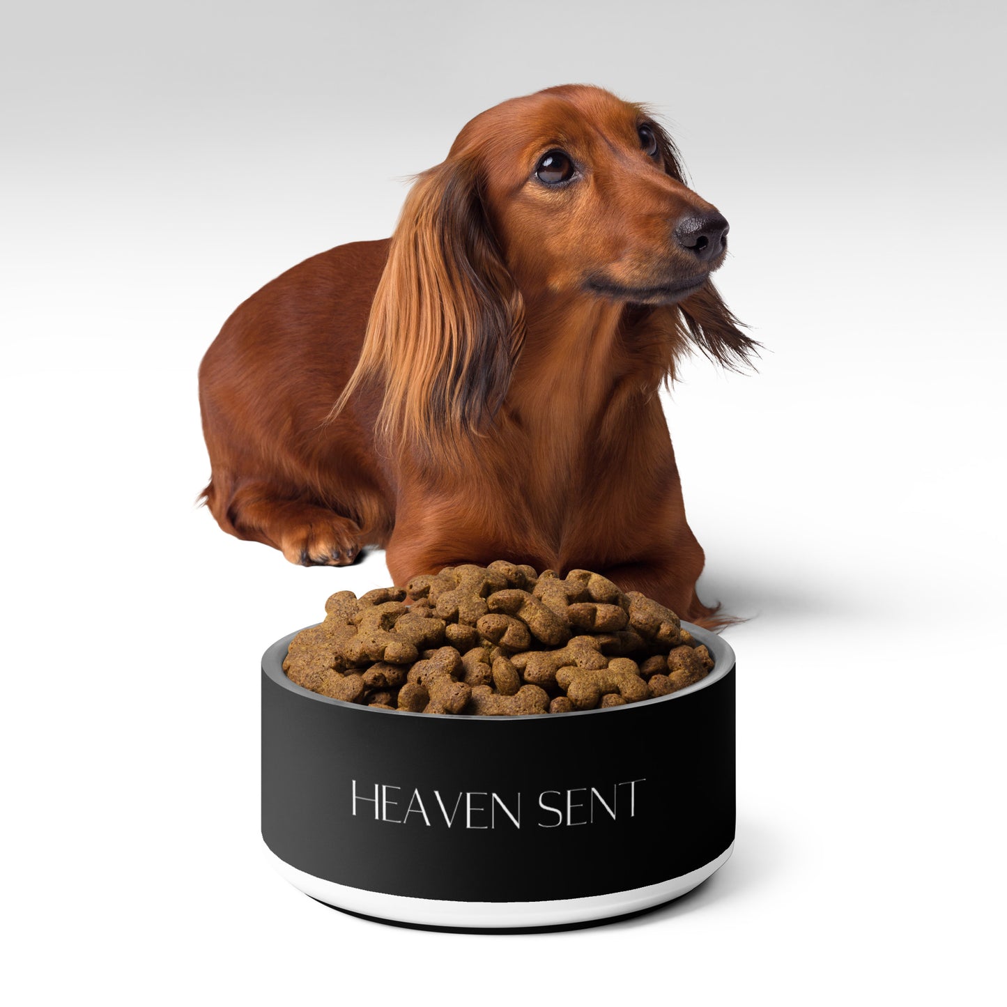Heaven Sent Black Pet bowl